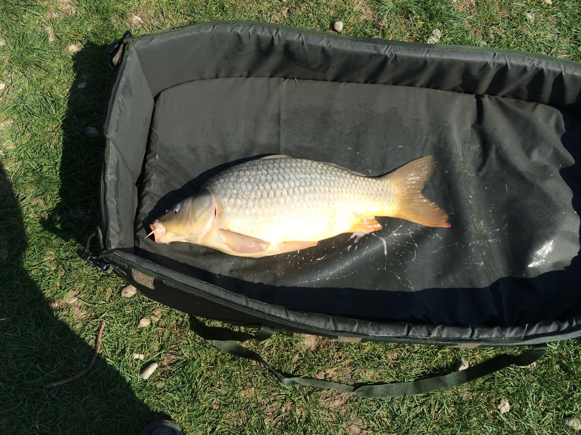 Moara Vlasiei 2 29 - 29 mar. - photo-4.JPG